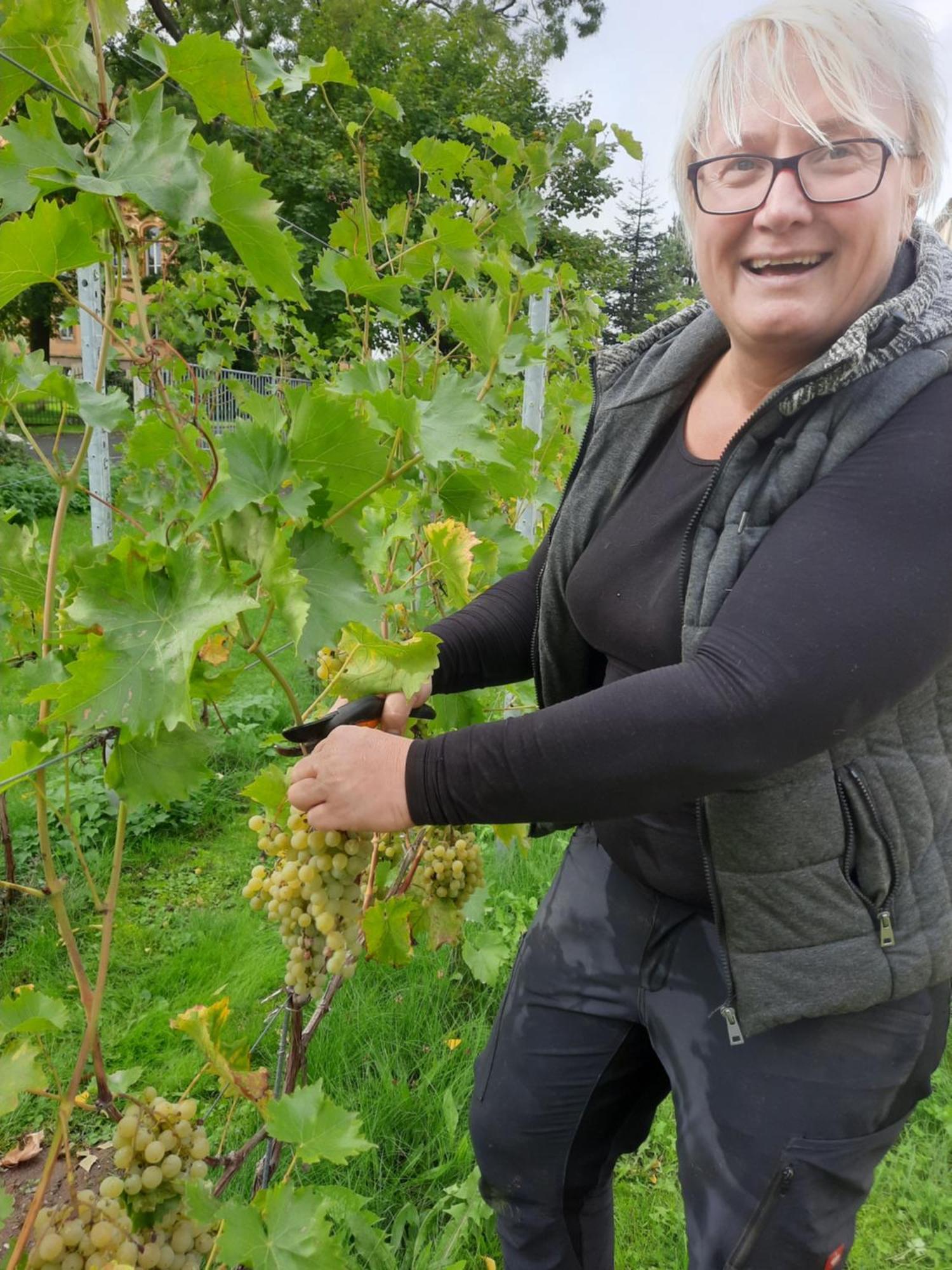 Ferienwohnung Weingut Lahmer August Kretzschau Exterior foto